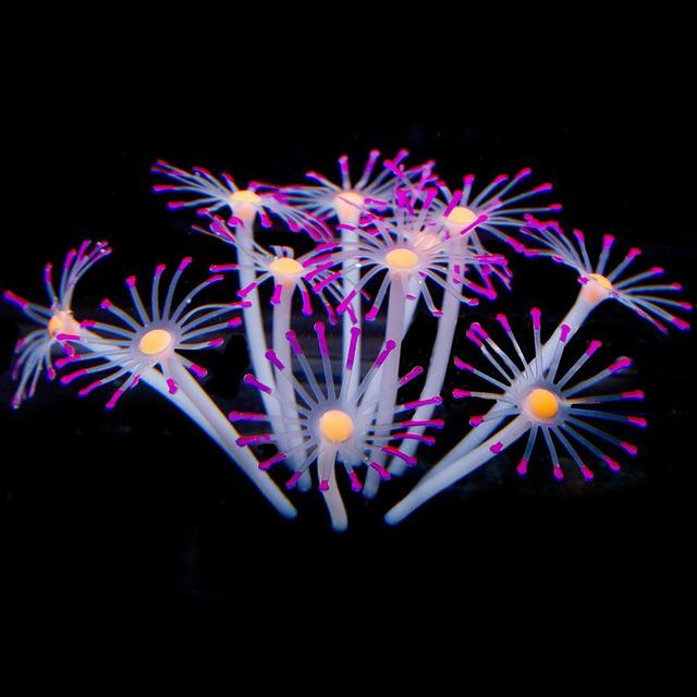 Silicone Glowing Aquarium Coral Plants Decor Supplies