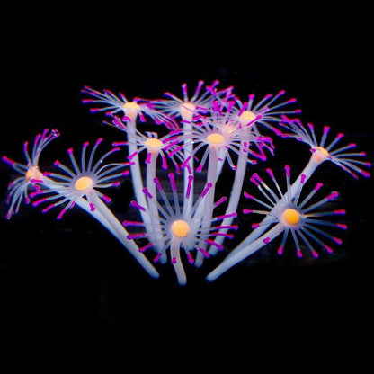 Silicone Glowing Aquarium Coral Plants Decor Supplies